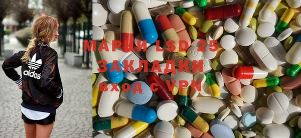 шишки Баксан