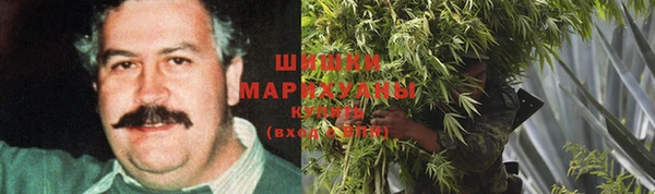 MESCALINE Аркадак