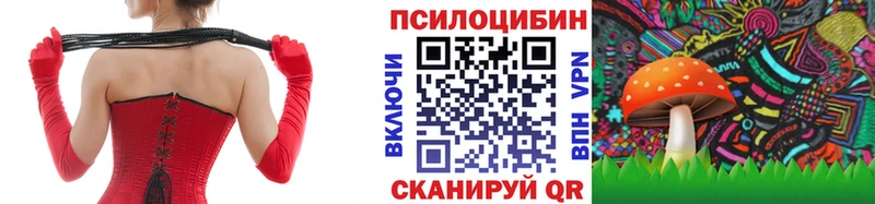блэк спрут tor  Татарск  Псилоцибиновые грибы Psilocybe  где найти  